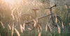 Let Honbike be Your First E-bike